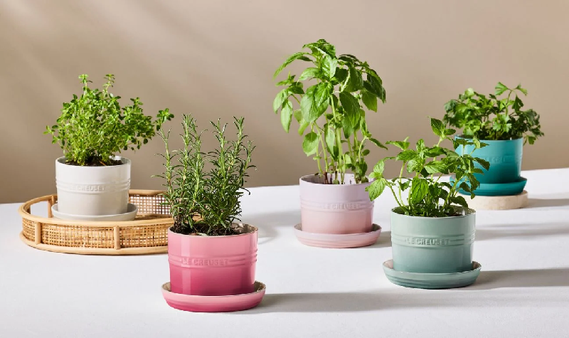 Nieuw: Le Creuset Kruidenpotjes - Voor verse kruiden binnen handbereik