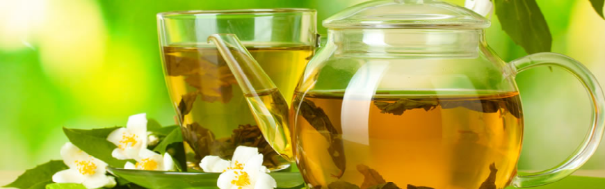 Bredemeijer Bredemeijer