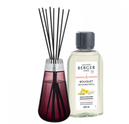 maison-berger-parfumverspreider-amphora-framboise