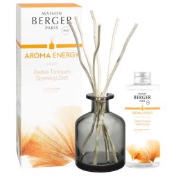 maison-berger-geurstokjes-aroma-energy-180-ml