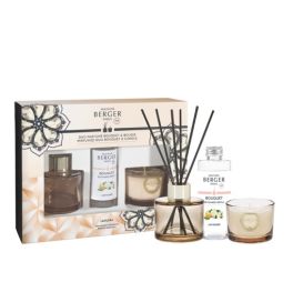 maison-berger-mini-duo-set-variation