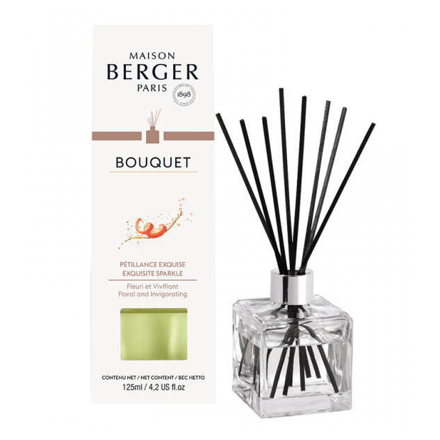 kleuring Let op scheuren Maison Berger Parfumverspreider Exquisite Sparkle - Geurstokjes kopen