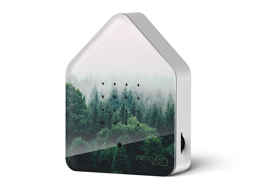 zwitscherbox-morning-forest