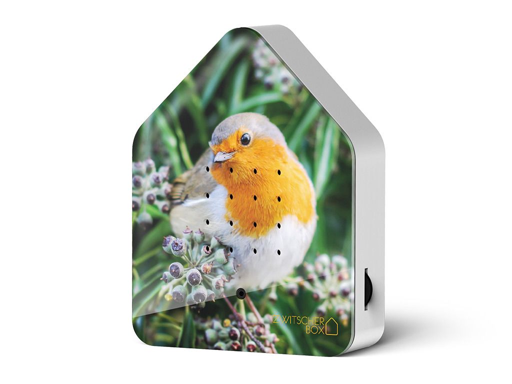 zwitscherbox-robin-redbreast-limited-edition